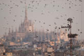 20091110_175543 Storni e Duomo.jpg